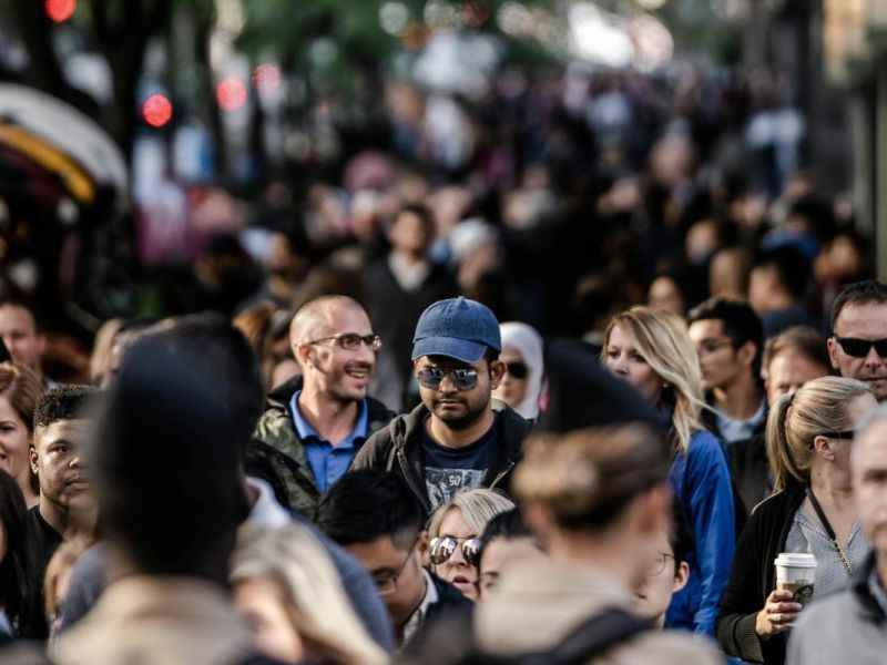 Chameleon in a&nbsp;Crowd: