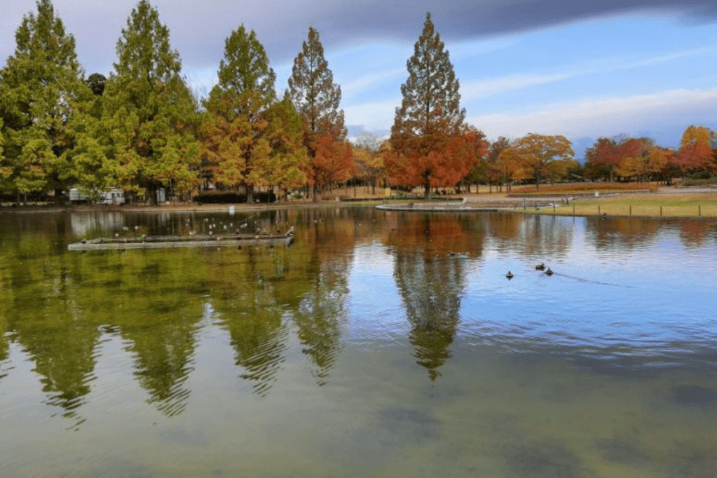 Why I Struggle to Return Home