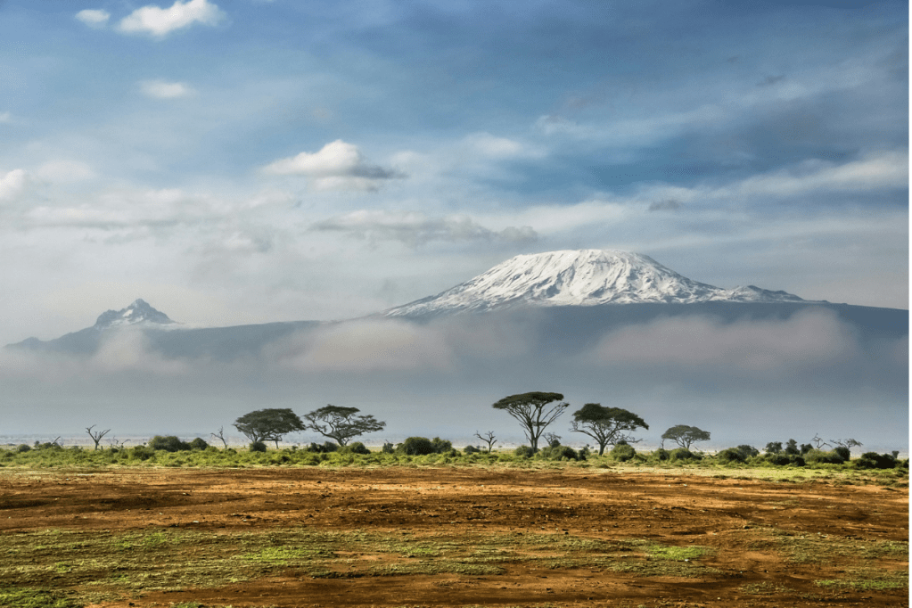 TCK Voices: A Generous and Grateful Heart is Fruit of Following&nbsp;Christ