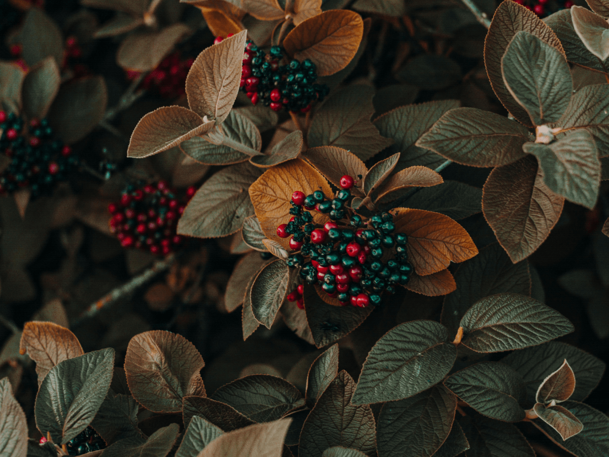 The Resurrection of&nbsp;Mary