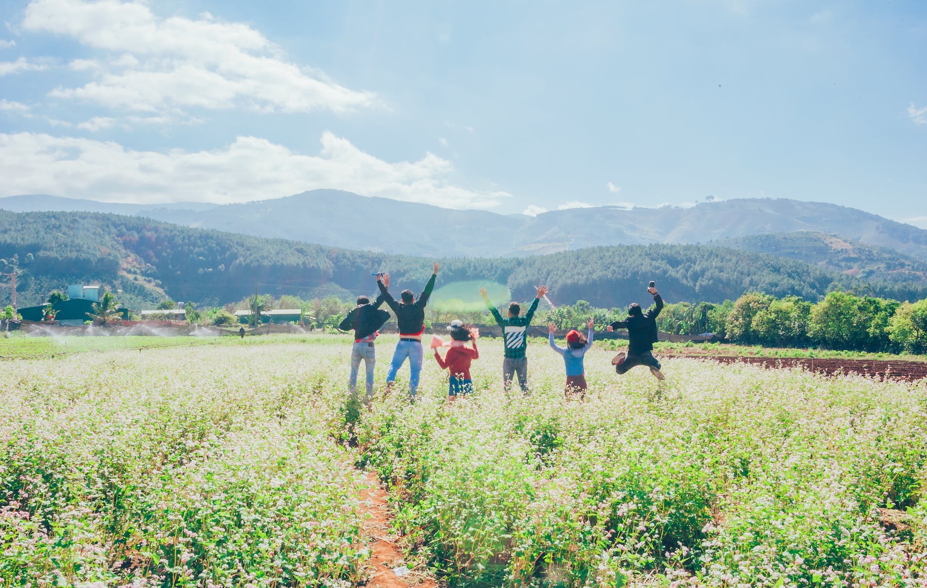 group of six people jumping in a crop field