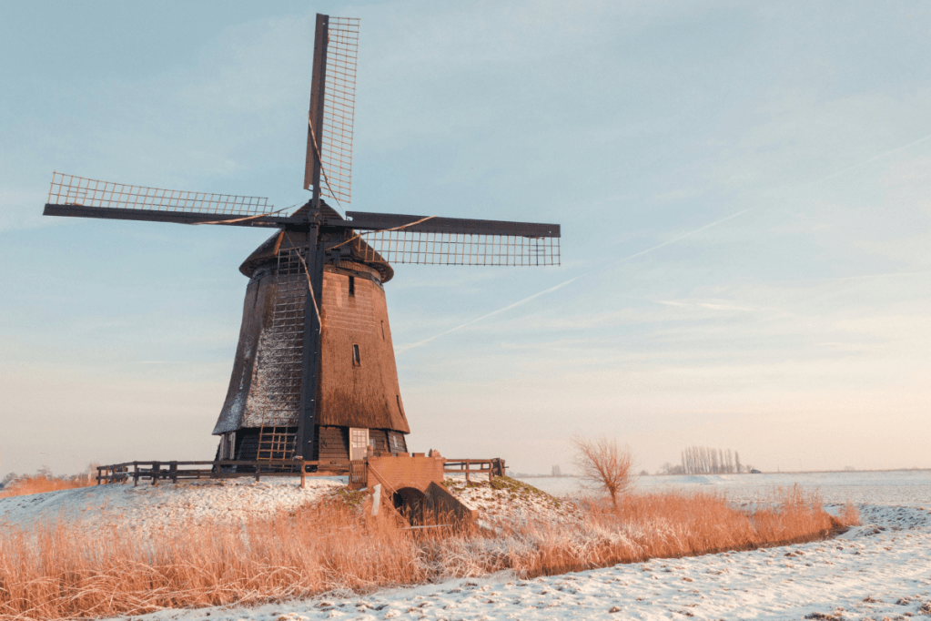 TCK Voices: God’s Grace and Faithfulness in My TCK&nbsp;Life