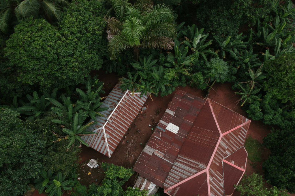 TCK Voices: My Life as a Conversation&nbsp;Starter