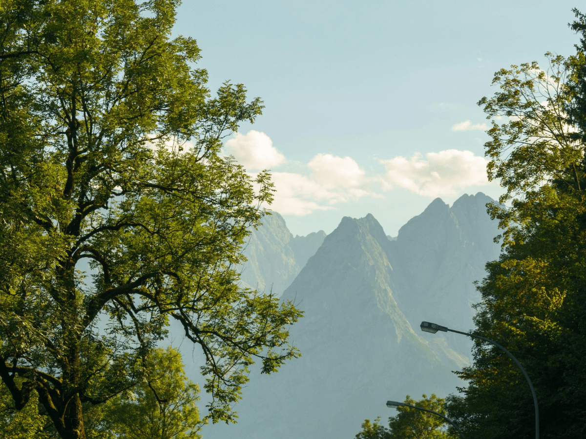 The Language We&nbsp;Lack