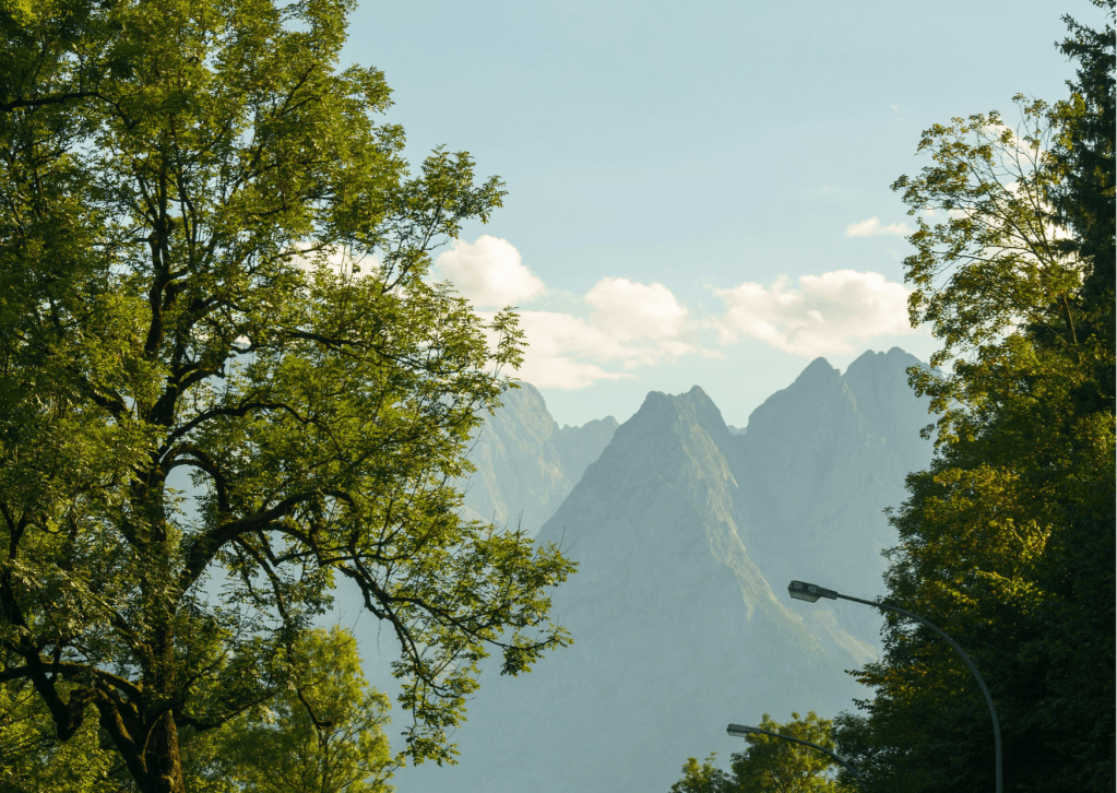 The Language We&nbsp;Lack