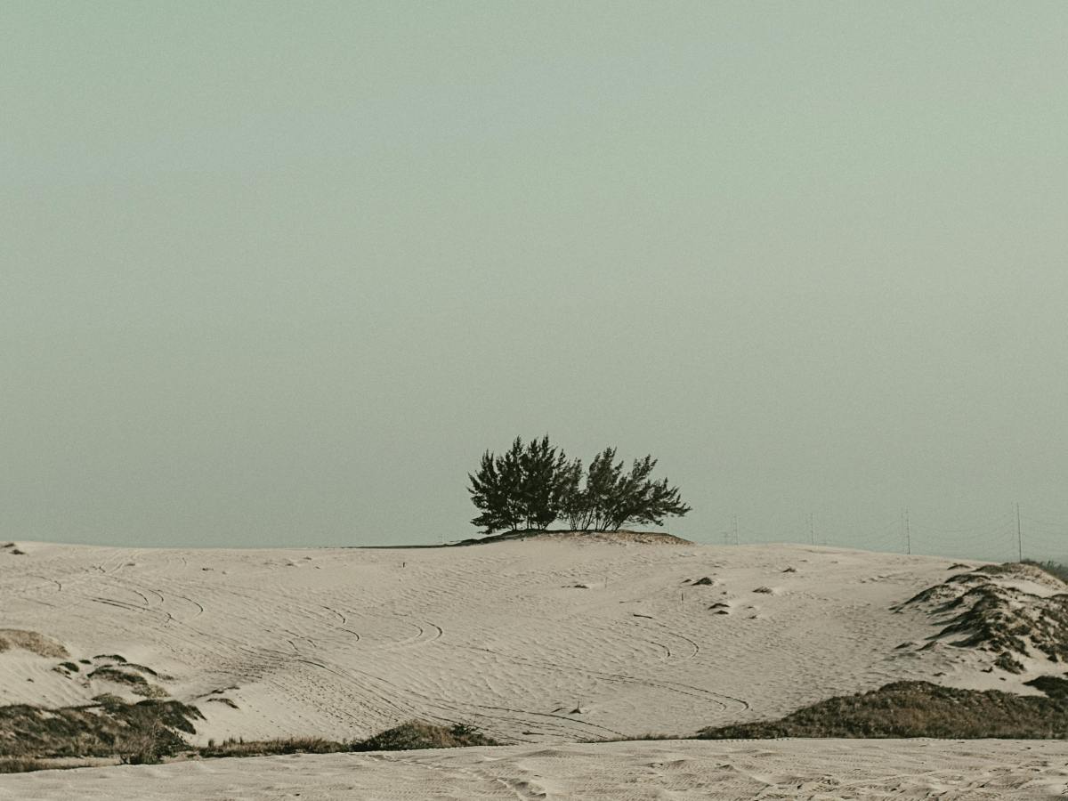 Lying Eyes, Loving&nbsp;Eyes