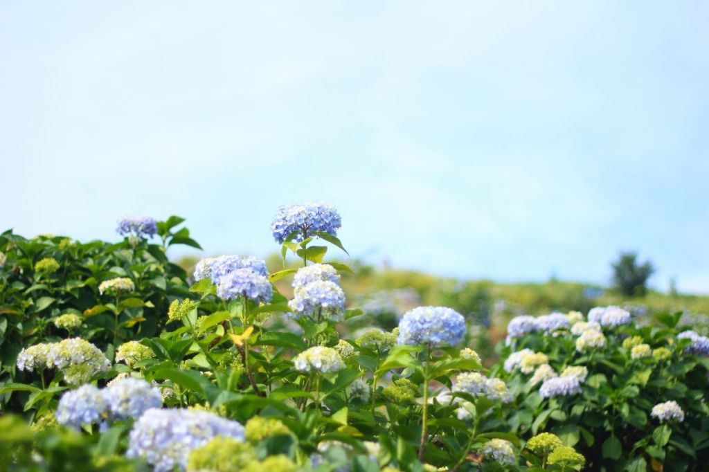 TCK Voices: Do You Belong or Simply ‘Fit&nbsp;In’?