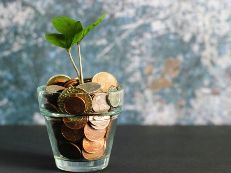 The Investment