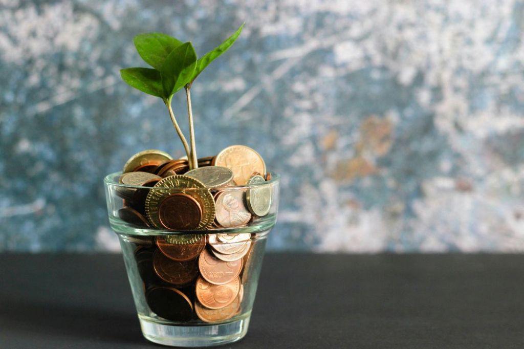 The investment